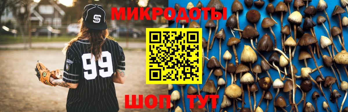 Псилоцибиновые грибы Cubensis Фролово